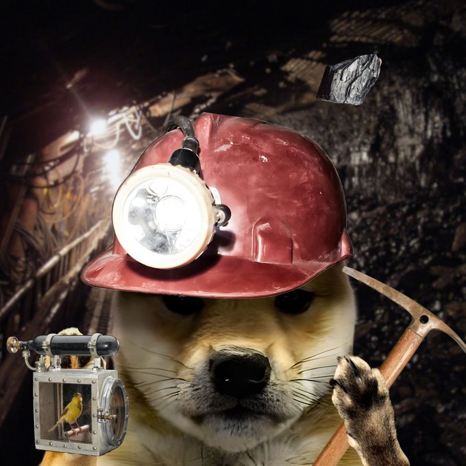 A Shiba Inu dog wearing a red hard hat with a headlamp, holding a pickaxe and a cage with a canary, set against a dark mine background with a floating diamond—perfectly capturing the "diamond in the rough" theme of prospecting and hidden value.