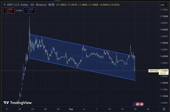 A TradingView chart showing XRP / U.S. Dollar on the 30-minute timeframe, displaying a falling wedge pattern with a current price of 1.2909 USD.