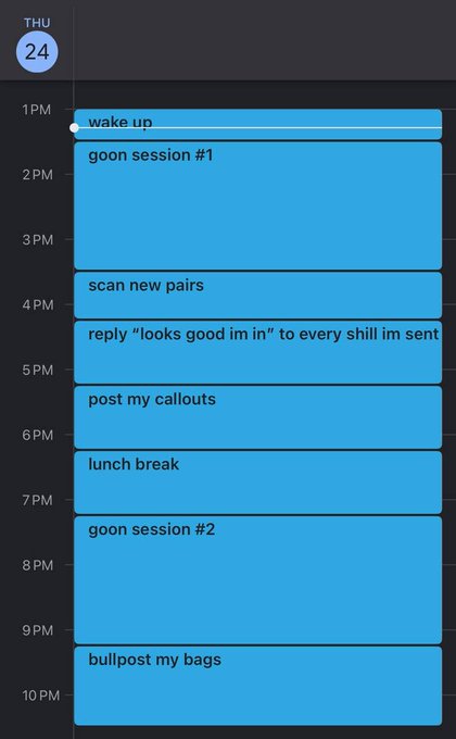 A daily schedule calendar for Thursday the 24th with humorous entries including 'goon session #1', 'scan new pairs', 'reply looks good im inn to every shill im sent', and 'bullpost my bags'.