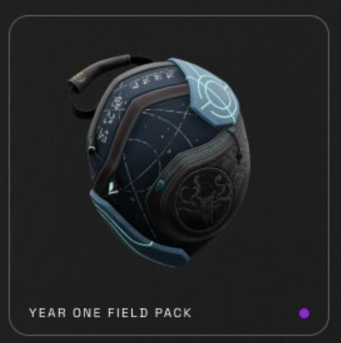 A digital render of a 'Year One Field Pack' helmet with blue and brown detailing, likely an item from a video game inventory screen.