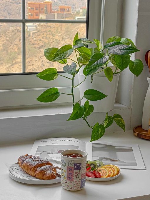 The image shows a white table with three plates of food, including pastries such as croissants or bagels, and fresh fruit like oranges. A coffee cup sits next to these plates, suggesting that someone has prepared breakfast for themselves or others. The scene is set against a window view of buildings in the background, creating an urban atmosphere. The image also contains text about networks and infrastructure, which may be related to the food preparation process or could be part of a larger discussion on technology and its impact on daily life.

The main focus of the image is the breakfast spread placed on the table, with various items like pastries, fruit, and coffee. The presence of these elements indicates that someone has taken time out for a meal in their day.