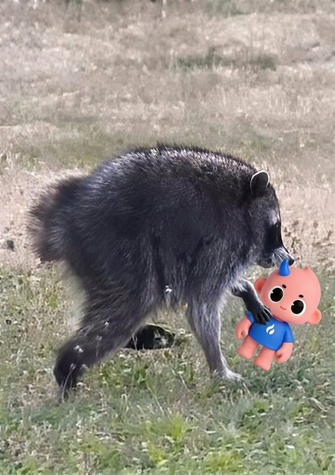 A wild bear in a grassy field has picked up a plush toy of a cartoonish character with a blue horn and blue shirt, appearing to carry it by the arm in its mouth. The image humorously illustrates the "yoinked" caption about Jimothy and the HTX_huobao character being playfully grabbed.