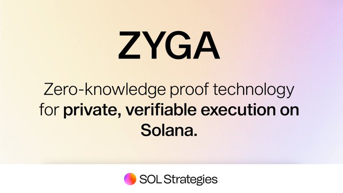 "Zygga" is written in black text at the top of a white background, with the word "operate freely" below it. Below that, there's a pink circle with the words "SOLANAS." written on it. The image also includes a small logo for "SOLARANS".