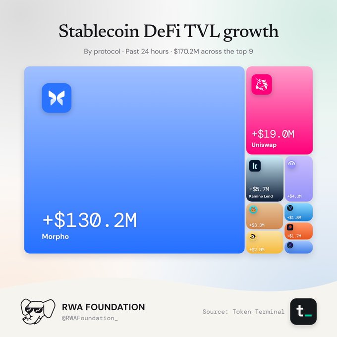 An infographic titled 'Stablecoin DeFi TVL growth' by RWA Foundation (@RWAFoundation_) showing 24-hour TVL increases by platform, led by Morpho at +$130.2M, followed by Uniswap at +$19.0M, Kamino Lend at +$5.7M, and others totaling $170.2M across the top 9 protocols. Source: Token Terminal.