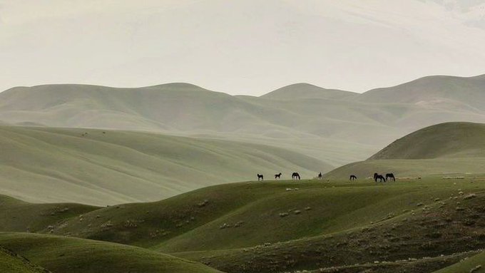 A serene landscape shows horses grazing on rolling green hills under a soft, hazy sky.
