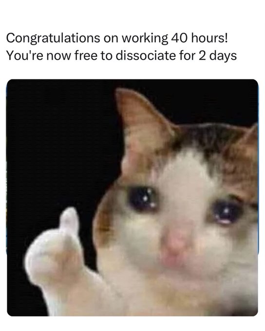 A crying cat giving a thumbs up with the text 'Congratulations on working 40 hours! You're now free to dissociate for 2 days'.