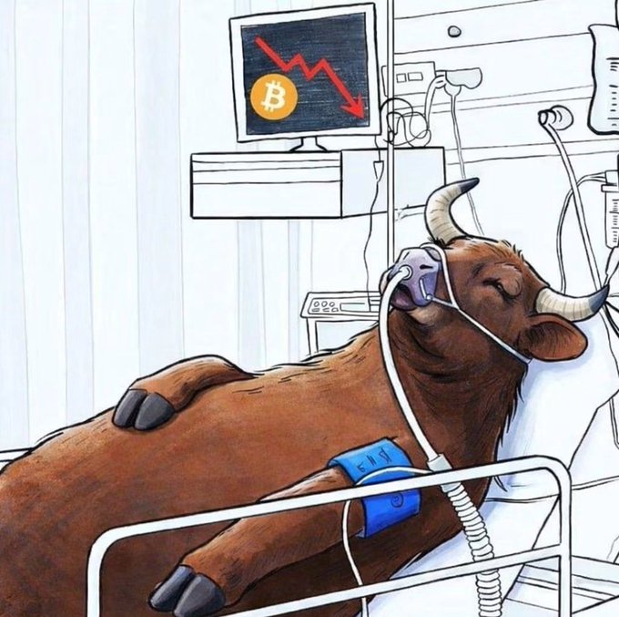 A bull lies comatose in a hospital bed with breathing apparatus, while a monitor displays a Bitcoin symbol with a sharply downward red trend line. The cartoon visually mirrors the post's sentiment that the 2026 bullrun has collapsed, with the helpless bull representing a dead crypto market despite the bullish-named tokens mentioned.