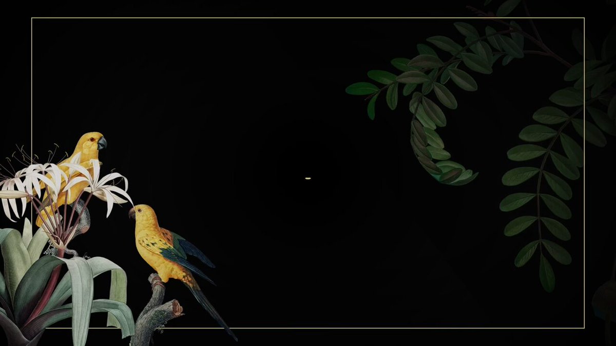 The image features a black background with two birds perched on tree branches, one yellow and one blue. The text "Grove Field Notes" is written above the birds, and there are also some words about a new type of tokenization called "@avax Grove partnered with Galaxy and @ArchLending to assist in structuring and bringing to market the first digitally native securitization of its kind onchain.". The focus of this image seems to be on the concept of tokenization, as it is related to the birds and their tree branches.
