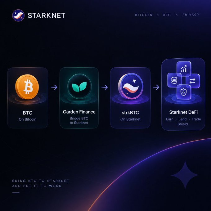 The image illustrates the **strkBTC** workflow on Starknet, showing BTC moving from Bitcoin → bridged via Garden Finance → becoming strkBTC on Starknet → used in Starknet DeFi (Earn, Lend, Trade, Shield), under the tagline "BRING BTC TO STARKNET AND PUT IT TO WORK."

This visual directly supports the post by mapping out the very multi-step process (exchange, bridge, new wallet) the author questions—showing how strkBTC funnels BTC into Starknet's DeFi ecosystem.