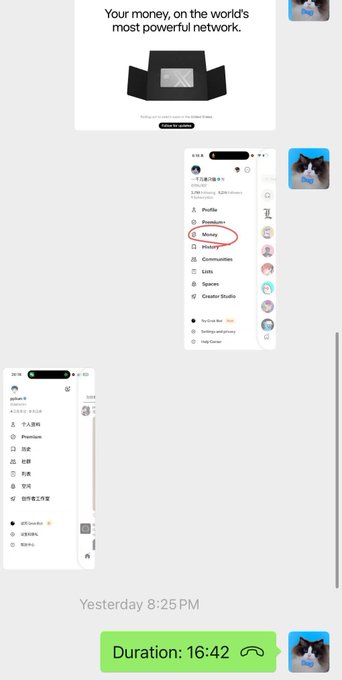 A mobile chat conversation showing navigation menus with "Money" circled, alongside promotional text reading "Your money, on the world's most powerful network," related to the announcement of a query website (sage-biscochitos-d7b880.netlify.app) for checking address and order status.