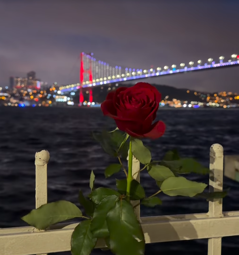A single red rose sits on a white railing in the foreground, with the illuminated Bosphorus Bridge and sparkling city lights of Istanbul shimmering across the water at night, evoking a serene moment of reflection after time spent with @River4fun, symbolizing the quiet self-care needed alongside consistent effort in Web3.