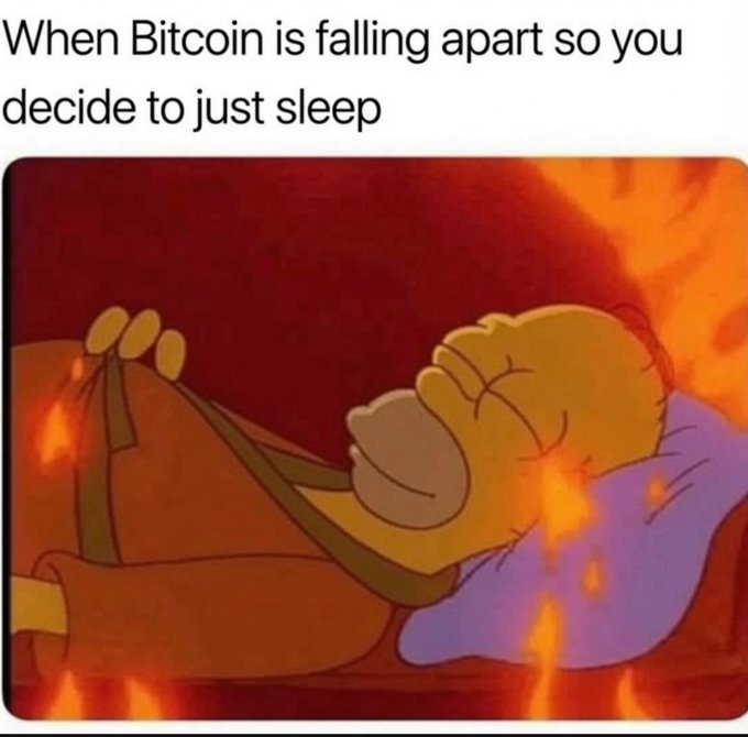 A meme using a scene from The Simpsons where Homer sleeps peacefully in bed while surrounded by fire, captioned 'When Bitcoin is falling apart so you decide to just sleep'.