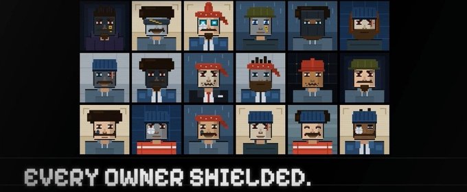 A pixel art display showing 18 character portraits arranged in a 3x6 grid with the text 'EVERY OWNER SHIELDED.' below.