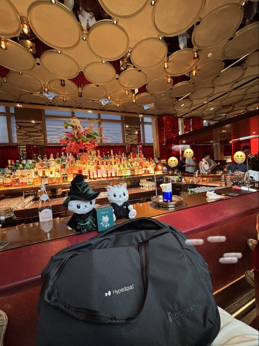 A bar counter scene features two small cat figurines in witch costumes, surrounded by bottles, with a black bag labeled 'Hyperpaid' and 'cotodeki' in the foreground.
