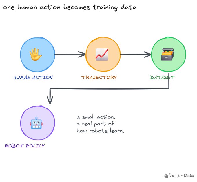 An infographic titled 'one human action becomes training data' showing a flow from 'HUMAN ACTION' to 'TRAJECTORY' to 'DATASET', which then leads to 'ROBOT POLICY'. Text reads 'a small action, a real part of how robots learn.' with the handle '@Ox_Leticia'.