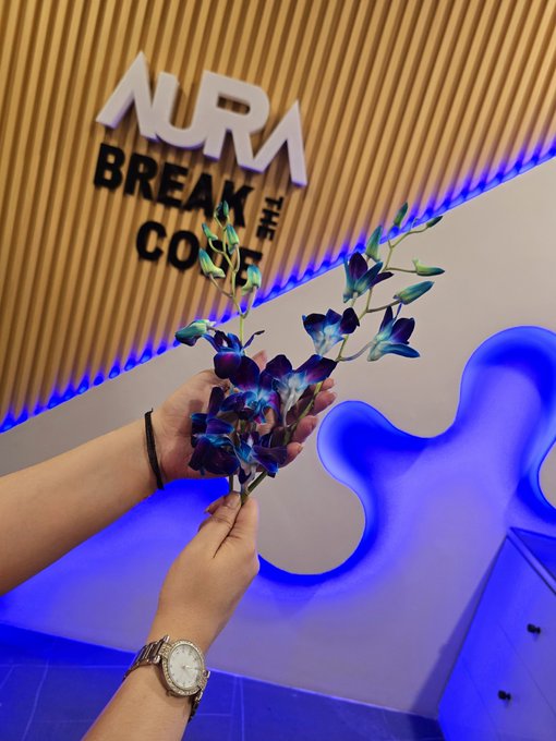 A person's hands holding a bouquet of glowing blue and purple flowers in front of an 'AURA BREAK THE CODE' sign with a bright blue and white illuminated background.