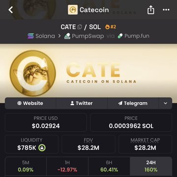 The image displays a trading chart for "Catecoin" ($CATE) on the Solana blockchain via PumpSwap, showing a price of $0.02924 USD (0.0003962 SOL), $785K liquidity, a $28.2M FDV/market cap, and notable 24-hour performance (+160% 24H, -12.97% 1H). This aligns with the accompanying post, which promotes $CATE as an early access opportunity to a token the poster believes could hit a $100M market cap this year.