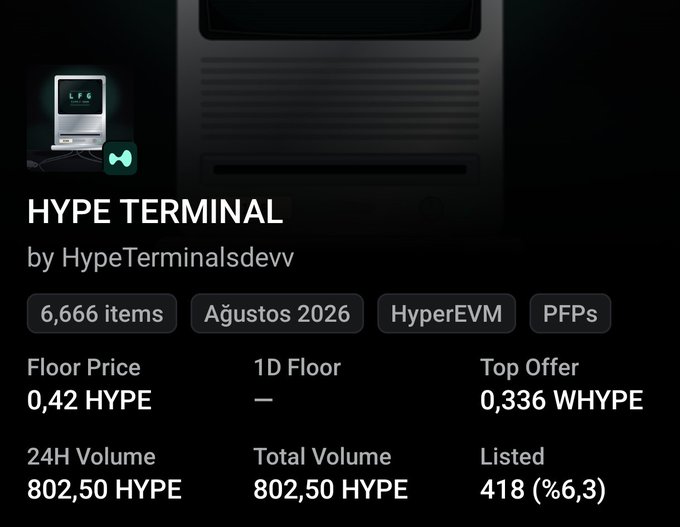 NFT collection page for 'HYPE TERMINAL by HypeTerminalsdevv' showing tags '6,666 items', 'HyperEVM', 'PFPs', floor price 0.42 HYPE, 24H volume 802.50 HYPE, and 418 listed.