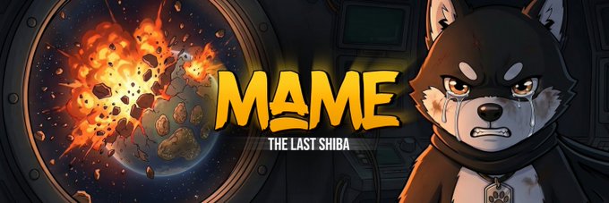 "The last Shiba." is written above a graphic of a dog with an angry expression, possibly due to a fire or explosion depicted in the background.