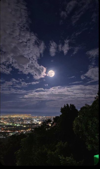 iced coffee with foam on top, a white mug, and a green lid are present, accompanied by a view of the city skyline at night.