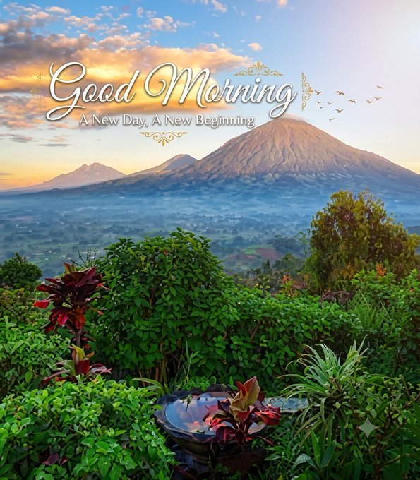 A scenic greeting card image displays a 'Good Morning - A New Day, A New Beginning' message over a lush garden with mountains in the background.