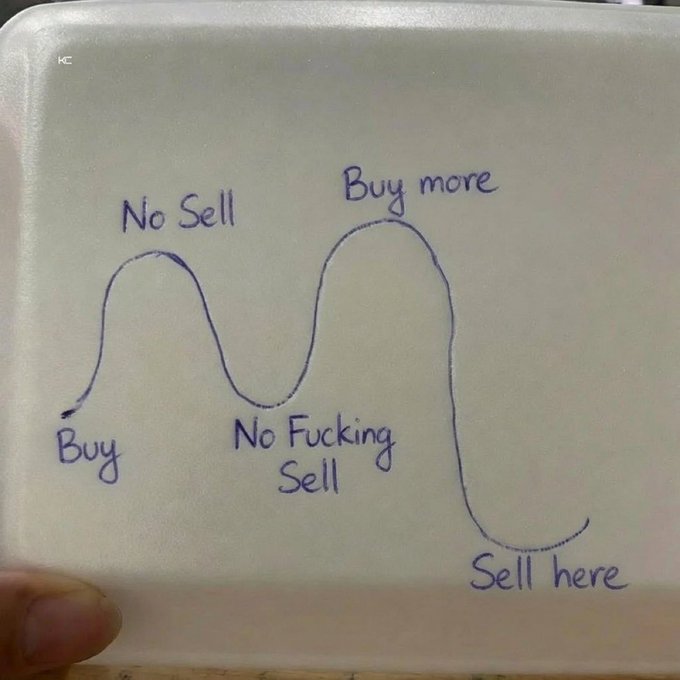 A whiteboard displays a hand-drawn market chart with annotations "Buy," "No Sell," "Buy more," "No Fucking Sell," and "Sell here," humorously illustrating the emotional highs and lows of a trading strategy. The crude, colorful language mocks the typical retail trader's tendency to hold onto losing positions out of stubbornness before panic-selling at the bottom.