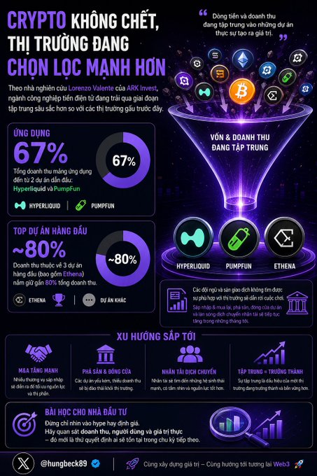 An infographic in Vietnamese titled "CRYPTO KHÔNG CHẾT, THỊ TRƯỜNG ĐANG CHỌN LỌC MẠNH HƠN" highlighting crypto projects like Hyperliquid, Pump.fun, and Ethena, with statistics such as 67% and ~80%.