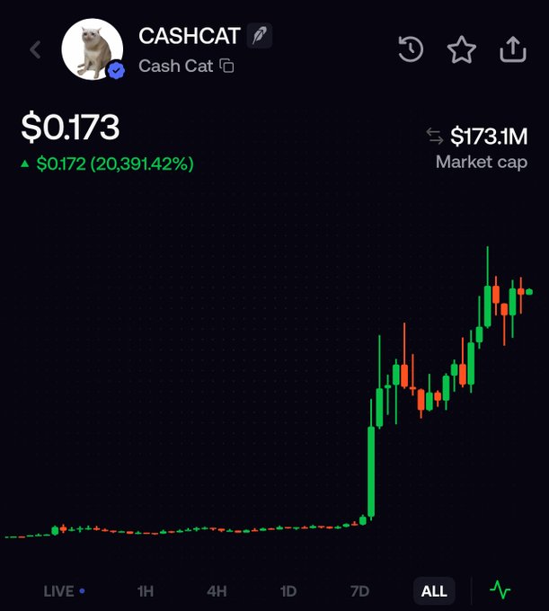 A cryptocurrency price chart for Cash Cat (CASHCAT) showing a massive surge to $0.173 with a 20,391.42% increase and $173.1M market cap, with the candlestick graph displaying a sharp upward trend from near-zero levels—visually supporting the post's bullish stance of buying dips before reaching a $500M market cap.