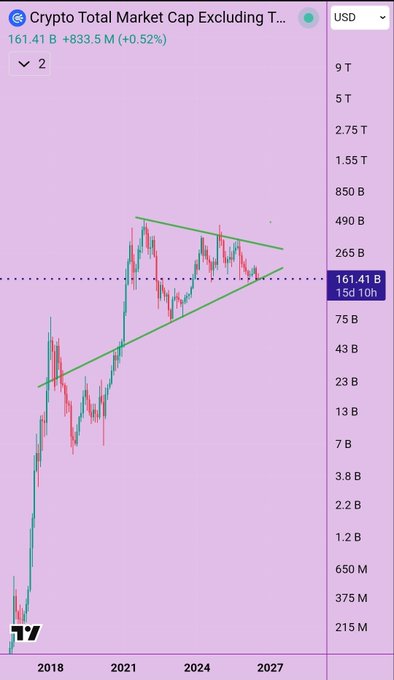 A TradingView chart titled 'Crypto Total Market Cap Excluding T...' showing a value of 161.41 B (+833.5 M, +0.52%) with a symmetrical triangle pattern drawn over the candlestick data.