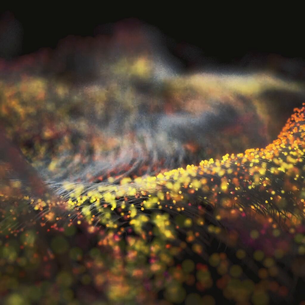 The image features a close-up view of a field with yellow flowers, giving off a warm glow against a black background. The flowers are scattered throughout the scene, creating an impression of movement and energy. The photo appears to be taken from a low angle, which emphasizes the height of the flowers and adds depth to the image. The overall composition is visually striking and captures the essence of a field filled with vibrant colors and life.