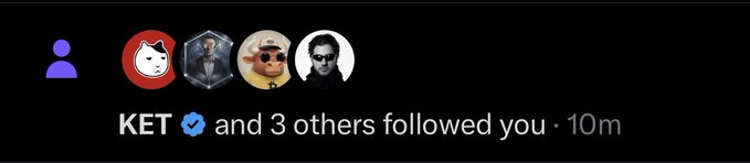 A Twitter/X notification showing 'KET ✓ and 3 others followed you · 10m' with profile pictures of a cat, a fantasy character, a dog wearing sunglasses, and a person wearing sunglasses.