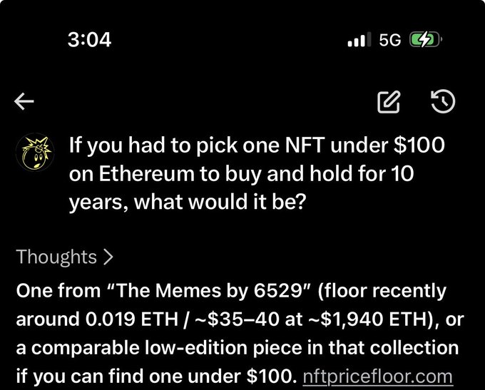 A Twitter/X post shows a reply from @grok (logo with a stylized wizard hat) responding to a question about picking an NFT under $100 on Ethereum to buy and hold for 10 years. The reply recommends "The Memes by 6529" collection (floor ~0.019 ETH/$35-40 at ~$1,940 ETH), with a link to nftpricefloor.com, aligning with the poster's observation that Grok chose this massive collection of over 200,000 NFTs.