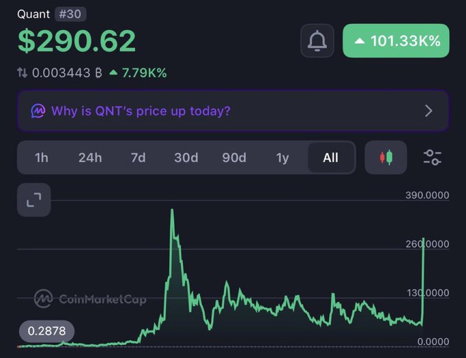 A CoinMarketCap price chart for Quant (QNT) showing a current price of $290.62 with a massive 101.33K% all-time increase, displaying historical price spikes.