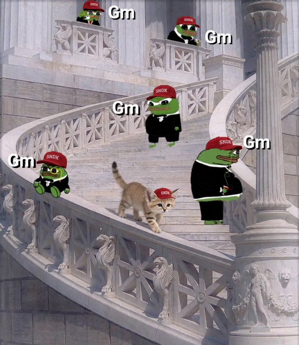 A meme featuring a cat walking down an ornate marble staircase, surrounded by cartoon Pepe frogs wearing red caps labeled 'SNDK' with 'Gm' text repeated around them.