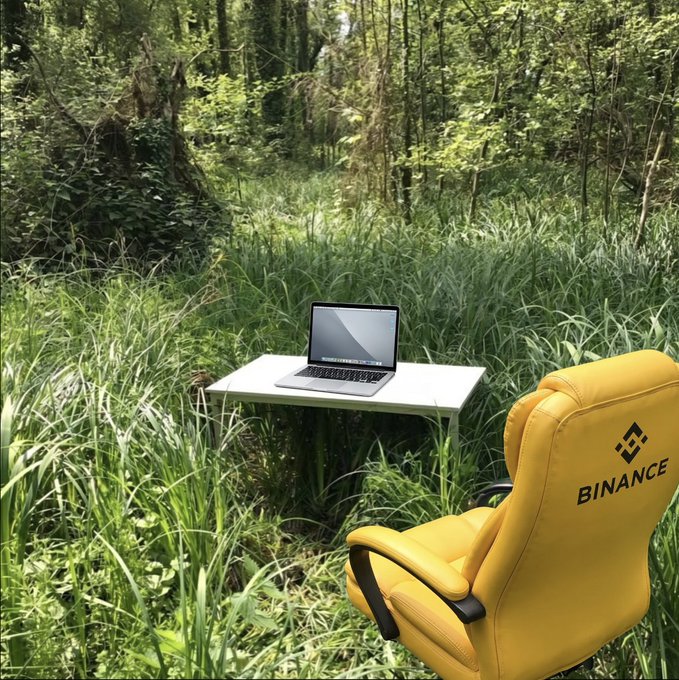 The post "I'm watching series today, right here" is clearly sarcastic — the image shows an absurd remote work setup in the middle of a dense forest: just a laptop on a lone table, with a bright yellow branded chair reading "BINANCE" beside it. The irony is that someone has set up an office in the wilderness for a day of "watching series," far from any actual comfort or civilization.
