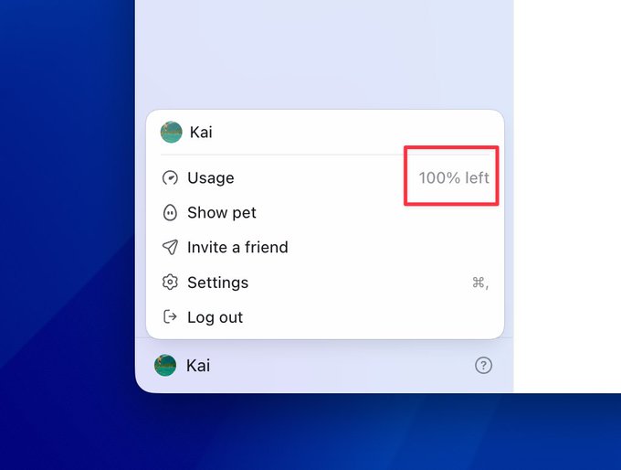 The image shows a user profile menu for "Kai" with a highlighted "100% left" indicator next to the Usage option, visually confirming that the Codex usage quota has been fully reset. This relates to the post by demonstrating the successful reset of usage limits, thanks to @thsottiaux.