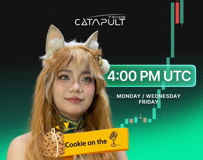 Promotional image for 'TRADE CATAPULT' featuring a woman with fox ears, advertising a 4:00 PM UTC event on Monday/Wednesday/Friday hosted by 'Cookie on the'.