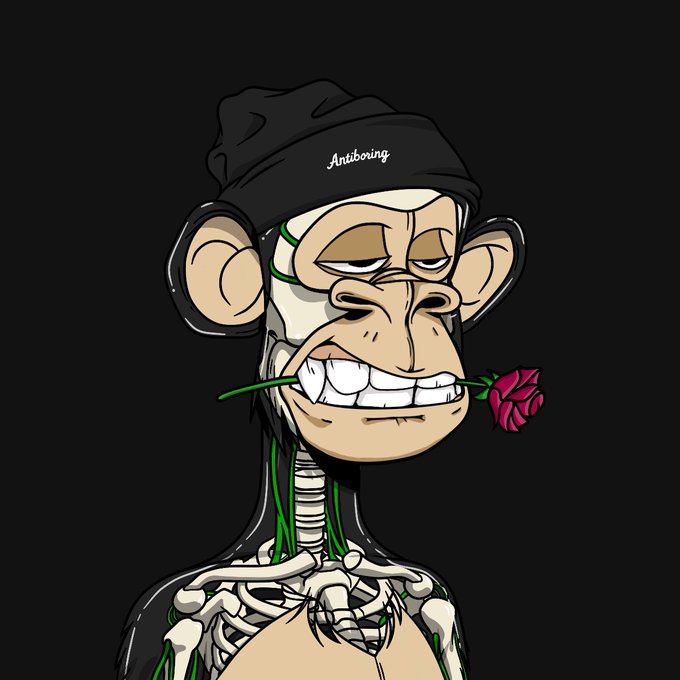 A digital illustration of a stylized Bored Ape character with an exposed skeletal body, wearing a black beanie labeled 'Antiboing' and holding a rose in its teeth.