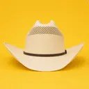 A beige cowboy hat is centered against a bright yellow background, paired with a caption humorously suggesting it could be auctioned off. The playful tone implies the hat is a unique or noteworthy item worthy of bidding.