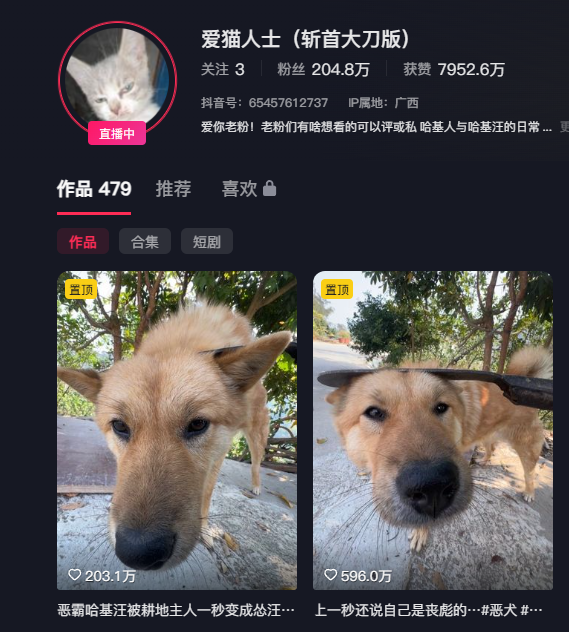A Chinese social media profile belonging to "爱猫人士" (Cat Lover) with 2.048 million followers shows two pinned videos of a tan dog named 彪哥 (Biaoge), which have garnered 203.1万 and 596.0万 likes respectively, depicting what appears to be China's beloved viral dog.