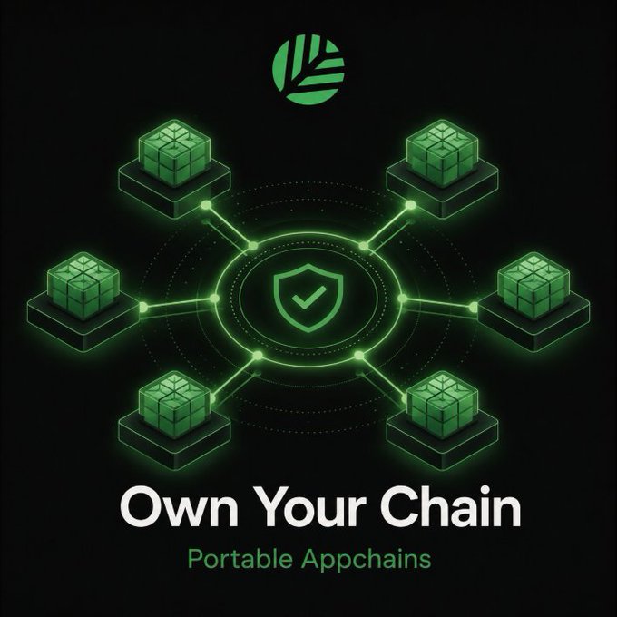 A promotional graphic with a black background featuring a green hexagonal network diagram with a shield and checkmark in the center, surrounded by connected block icons, with the text 'Own Your Chain - Portable Appchains'.