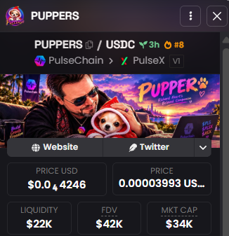 Screenshot of a PUPPERS/USDC token page on PulseChain showing a price of $0.0₄4246 with $22K liquidity, $42K FDV, and $34K market cap.