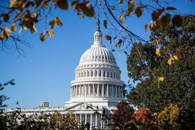 The white dome of the United States Capitol Building framed by autumn leaves and tree branches against a clear blue sky.