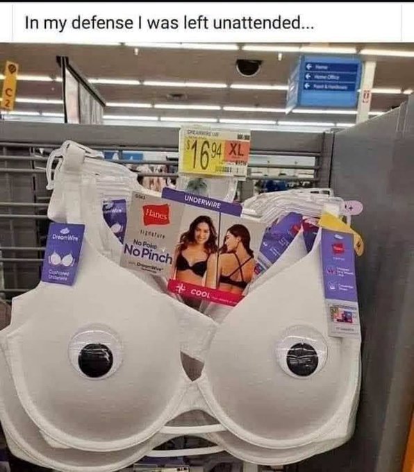 A Hanes No Pinch No Itch bra hanging on a store display rack with a Walmart $16.94 price tag, captioned 'In my defense I was left unattended...'