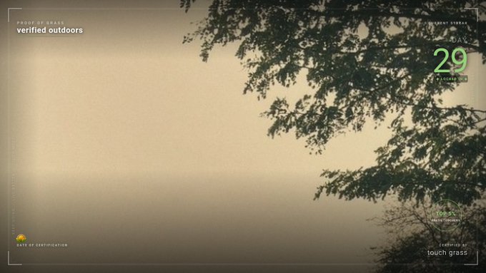 A screenshot of a "verified outdoors" stream interface showing a hazy, foggy outdoor scene with tree branches visible, displaying "DAY 29" and metrics like "208.5K" in the corners.