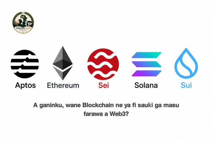 An educational slide showing logos for Aptos, Ethereum, Sei, Solana, and Sui alongside a HausHaus logo, with the text "A ganinku, wane Blockchain ne ya fi sauki ga masu farawa a Web3?"
