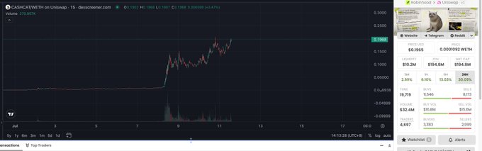 The image shows a trading chart for "CASHCATEWETH on Uniswap" with a dramatic price surge visible from July 8 onward, reaching approximately $0.1900 with a +2.47% change and $270.667K volume, illustrating the volatile "pop up" altcoin phenomenon referenced in the post about chasing new pumps after missing or boarding the leading coin.