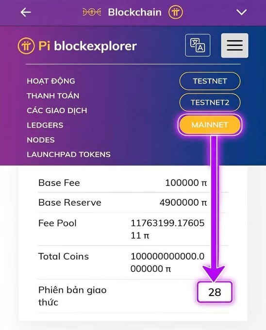 A screenshot of the Pi blockchain explorer app showing the Mainnet protocol version as 28, with an arrow pointing to it, displaying statistics like Base Fee (100000 π) and Total Coins.
