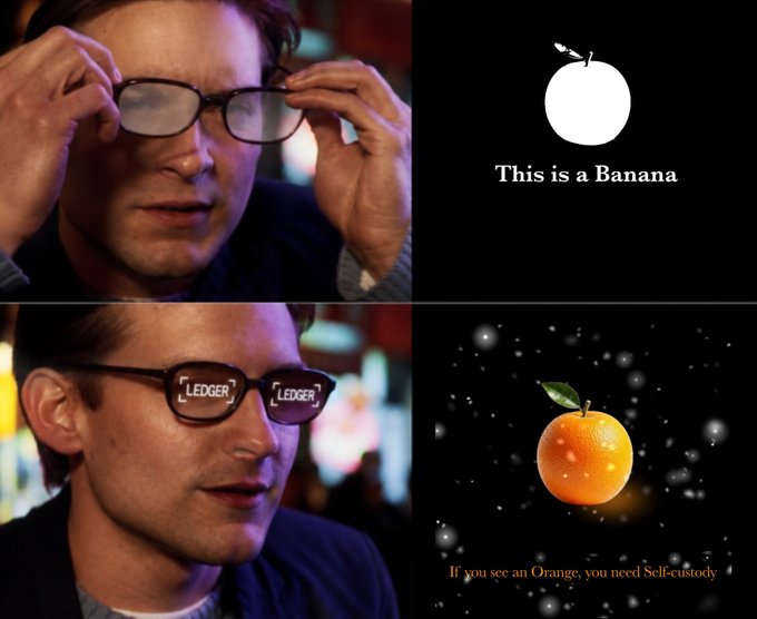 A two-panel meme featuring a man putting on glasses, where the top shows a white circle labeled 'This is a Banana' and the bottom shows an orange with the text 'If you see an Orange, you need Self-custody,' with the man's glasses displaying 'LEDGER' branding.
