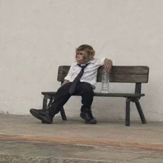A small child dressed in a white shirt, tie, and black trousers sits slumped on a wooden bench against a white wall, resting their head on their hand with a water bottle beside them.
